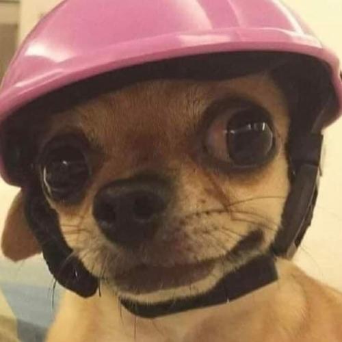 สมาชิกหมายเลข 5835937