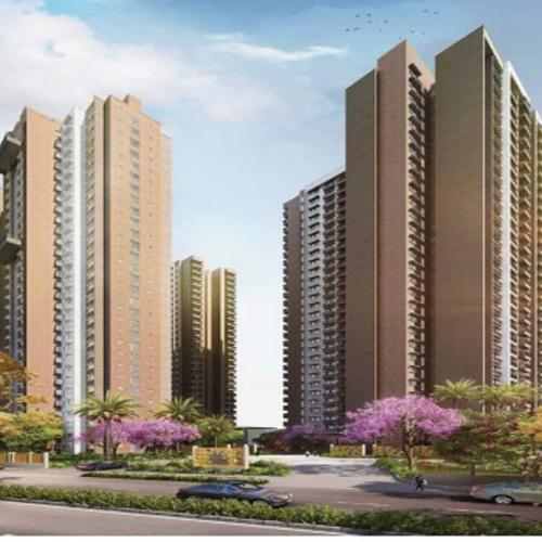 สมาชิกหมายเลข 8027524