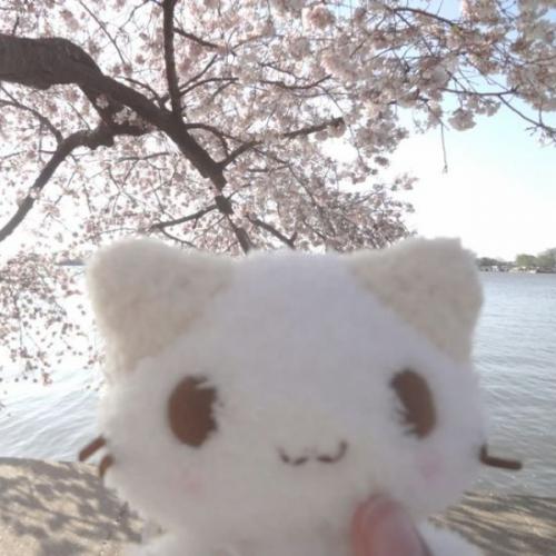 สมาชิกหมายเลข 6506505