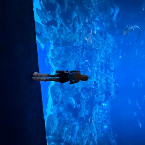 สมาชิกหมายเลข 6839817