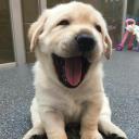 สมาชิกหมายเลข 1705474