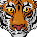 เสือข้ามห้วย