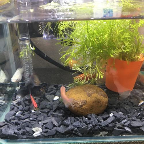 สมาชิกหมายเลข 2372899