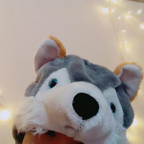 สมาชิกหมายเลข 3719599