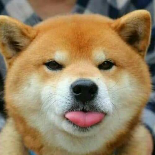 สมาชิกหมายเลข 4640458