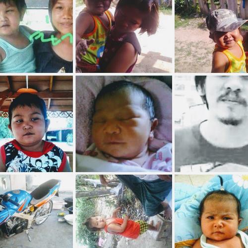 สมาชิกหมายเลข 5004488