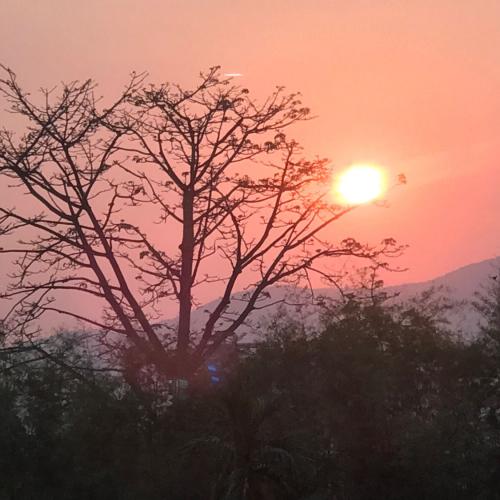 สมาชิกหมายเลข 1697827