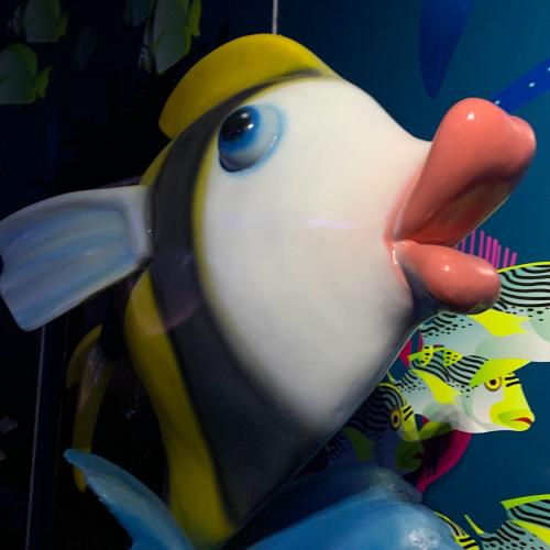 สมาชิกหมายเลข 6662598