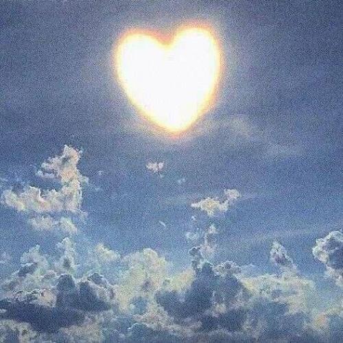 สมาชิกหมายเลข 7097700