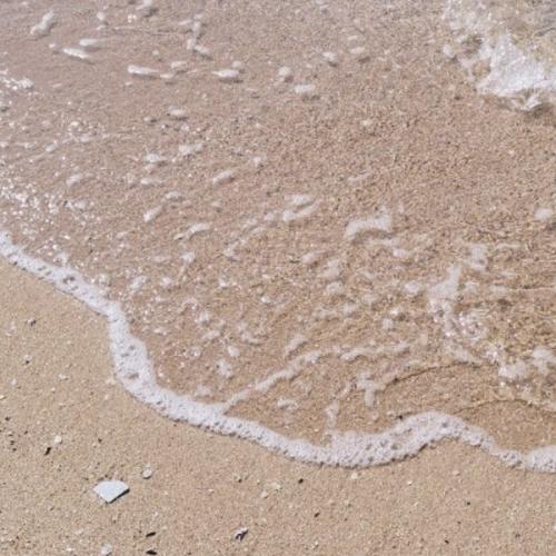 สมาชิกหมายเลข 7441279