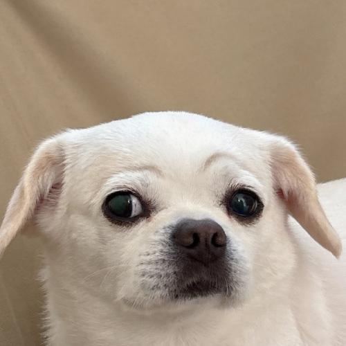 สมาชิกหมายเลข 5364438