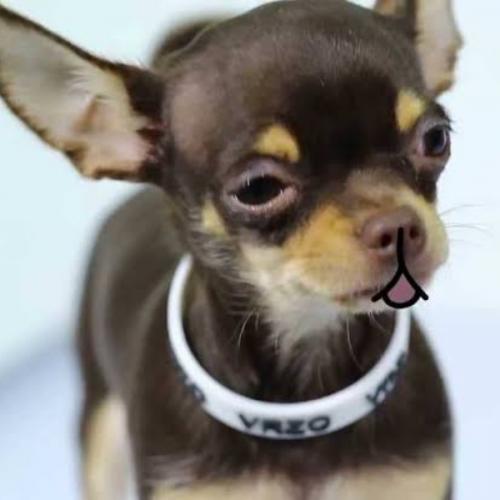 สมาชิกหมายเลข 8110985