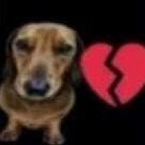 สมาชิกหมายเลข 9054098