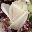 สมาชิกหมายเลข 3796303