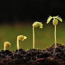 สมาชิกหมายเลข 1297213