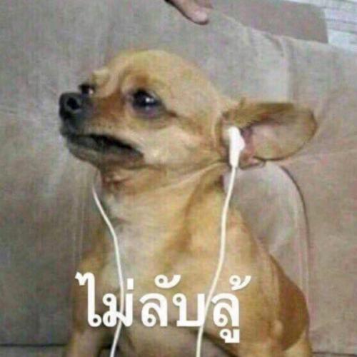 สมาชิกหมายเลข 3472402