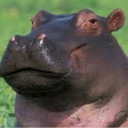 สมาชิกหมายเลข 3829771