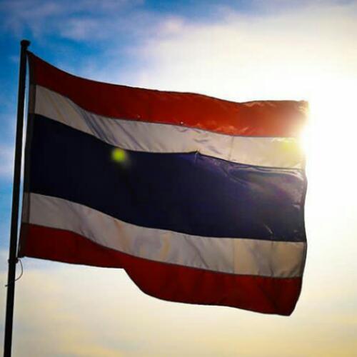 สมาชิกหมายเลข 4497784