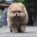 สมาชิกหมายเลข 4645989