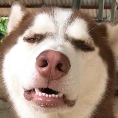 สมาชิกหมายเลข 4561719