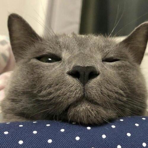 สมาชิกหมายเลข 5006896