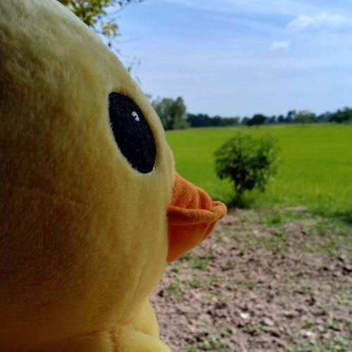 สมาชิกหมายเลข 5007103