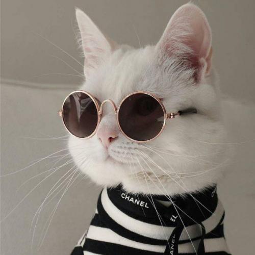 สมาชิกหมายเลข 1065597