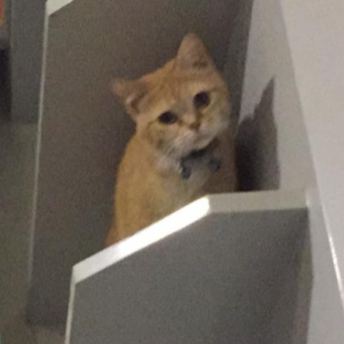 สมาชิกหมายเลข 2618857