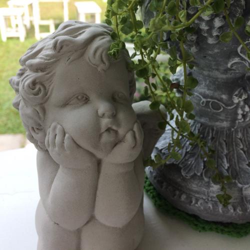 สมาชิกหมายเลข 2624976