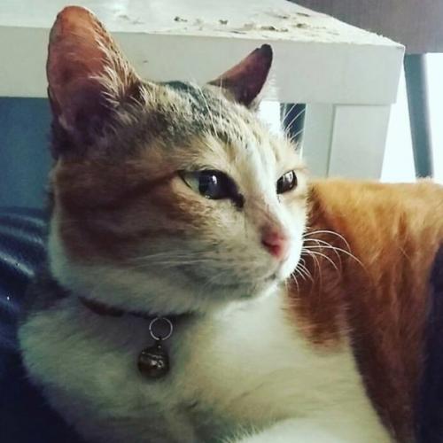 สมาชิกหมายเลข 5905761