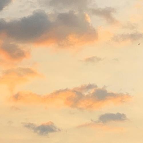 สมาชิกหมายเลข 2884515