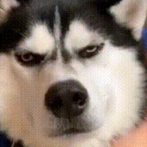 สมาชิกหมายเลข 4545557