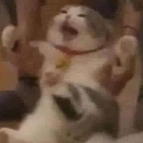 สมาชิกหมายเลข 5356749