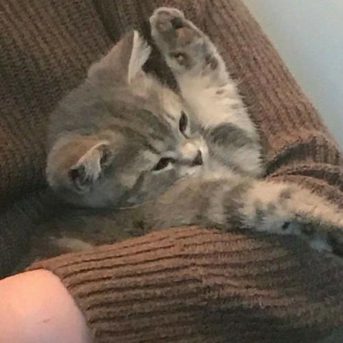 สมาชิกหมายเลข 6182111