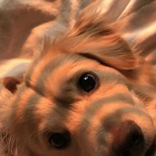 สมาชิกหมายเลข 2100493