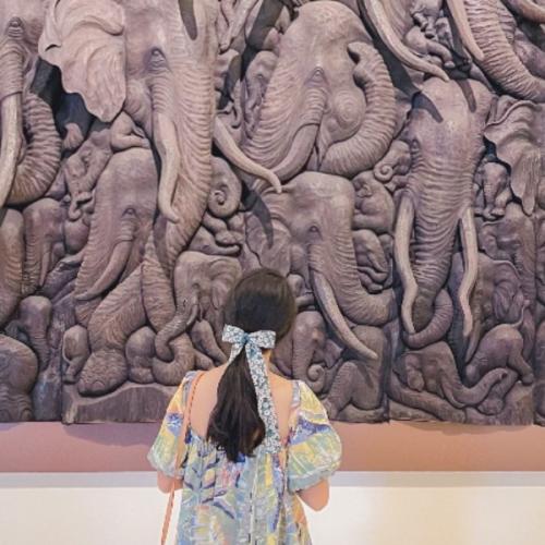 สมาชิกหมายเลข 2555079