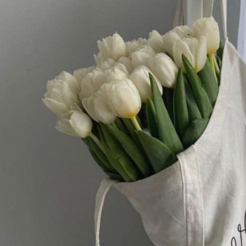 สมาชิกหมายเลข 6694272