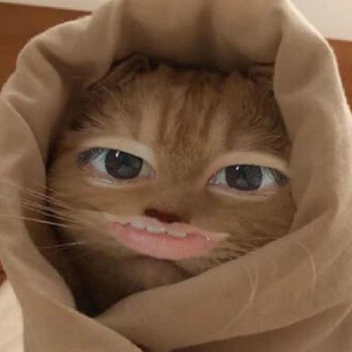 สมาชิกหมายเลข 5981407