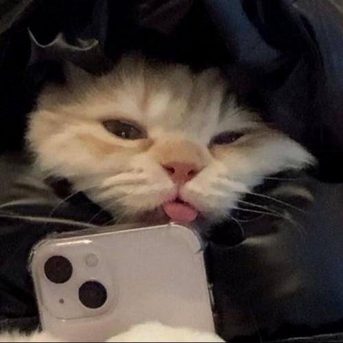 สมาชิกหมายเลข 8029010