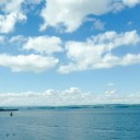 สมาชิกหมายเลข 2779032