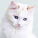 สมาชิกหมายเลข 3797011