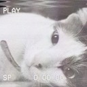 สมาชิกหมายเลข 3645062