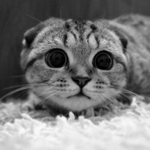 สมาชิกหมายเลข 3007756