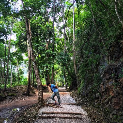 สมาชิกหมายเลข 5006799