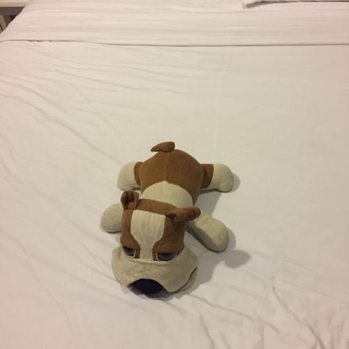 สมาชิกหมายเลข 5007175