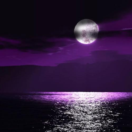 สมาชิกหมายเลข 5056025