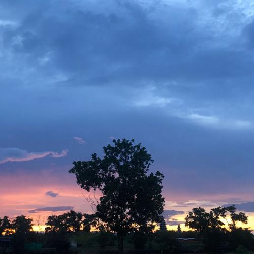 สมาชิกหมายเลข 6508356