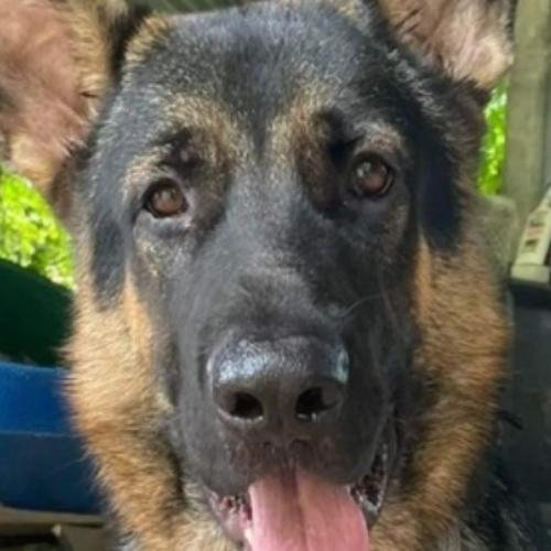 สมาชิกหมายเลข 7220360