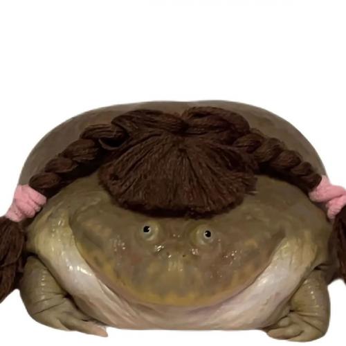 สมาชิกหมายเลข 9055427