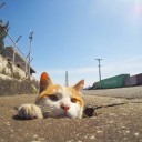 สมาชิกหมายเลข 3063929